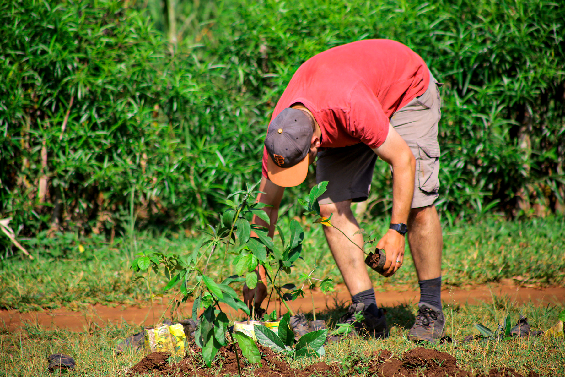 Offsetting CO2 emissions for Travel in Uganda