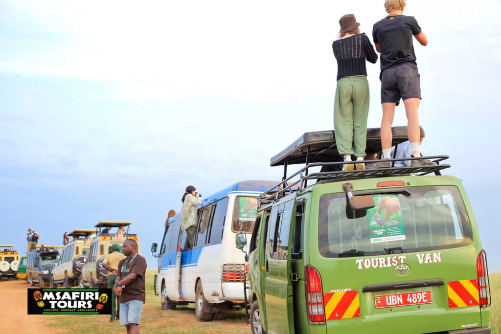 Safari etiquette in Uganda