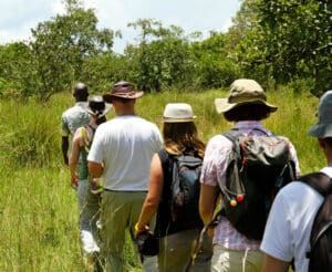 guided-nature-walks