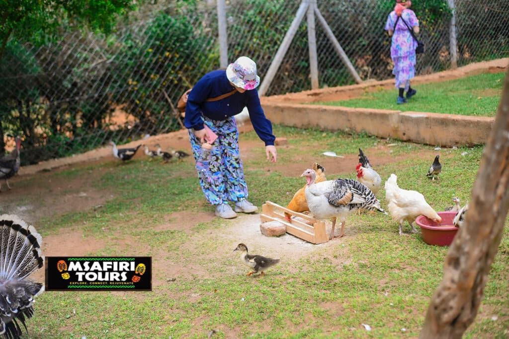 Uganda Farming Volunteer Projects