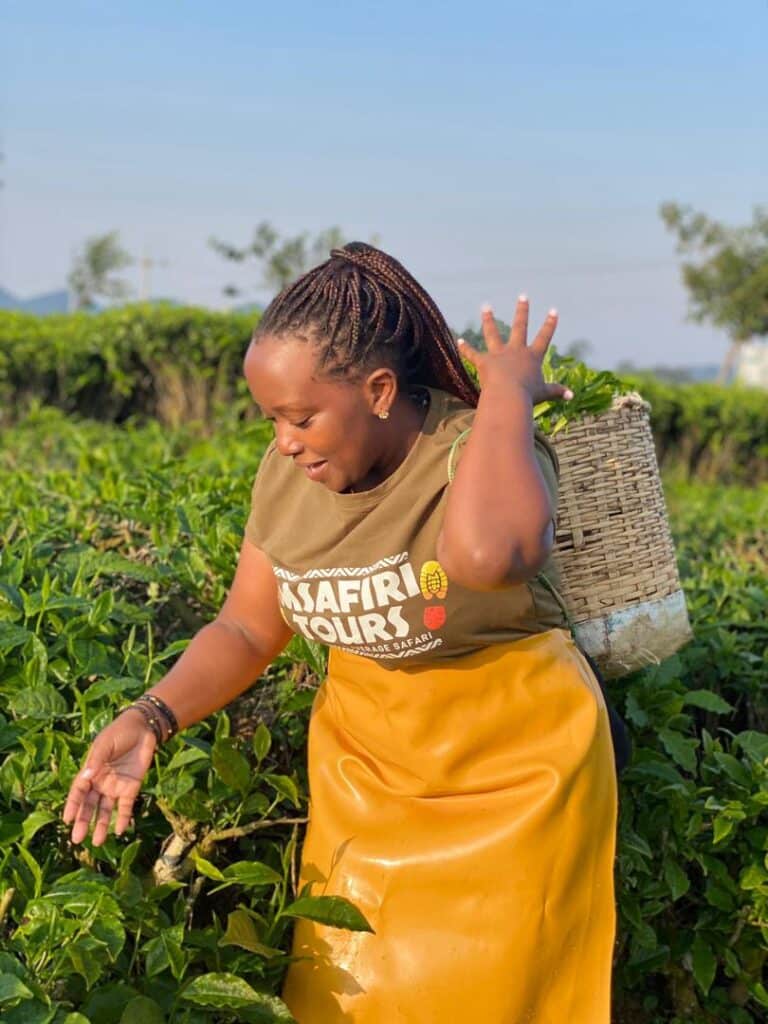 Uganda Tea Tours