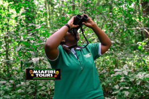 Uganda Forest Bathing Tours