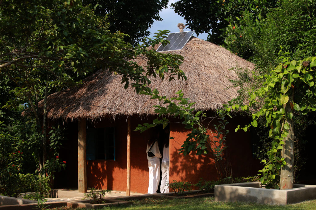 Uganda Digital Detox Tours 