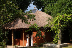 Solo Camping Adventures in Uganda