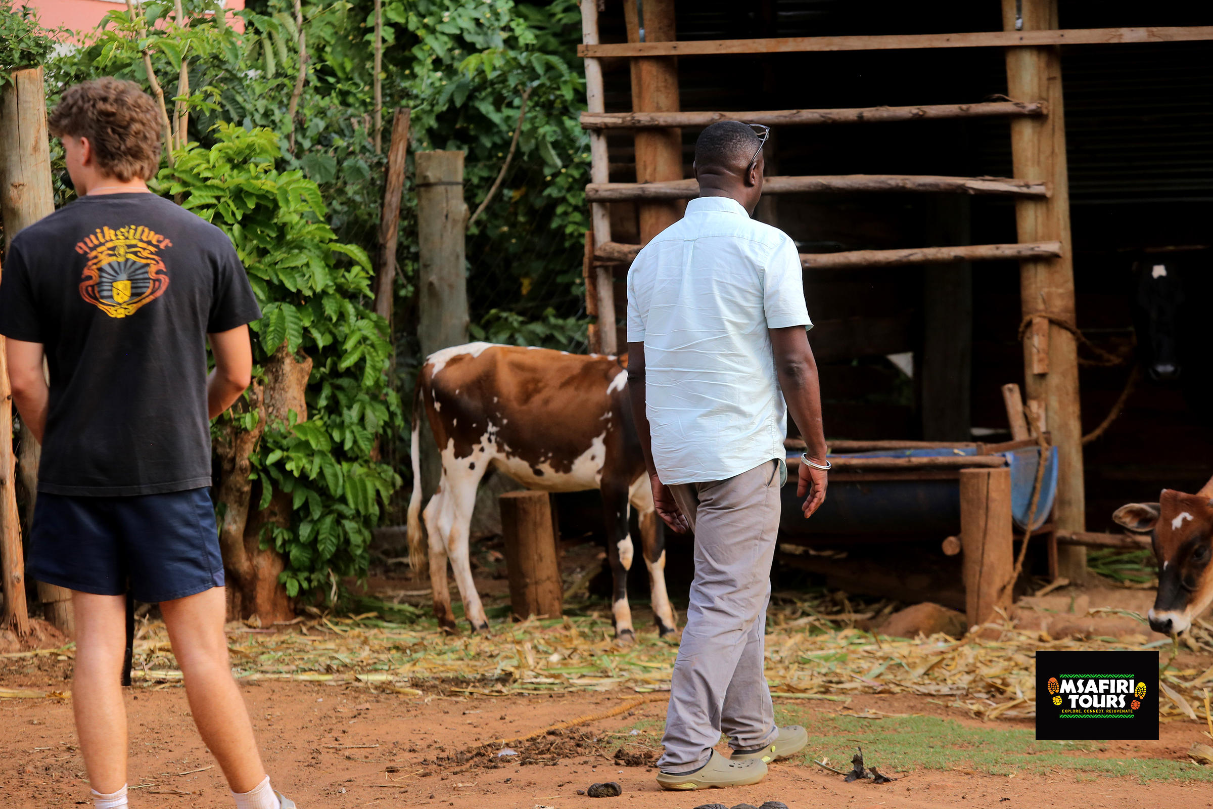 Veterinary elective Internship in Uganda