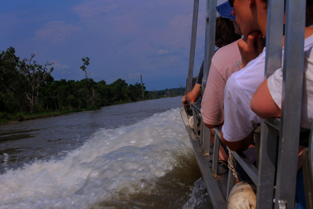 1 Day Ngamba Island Chimpanzee Tour 