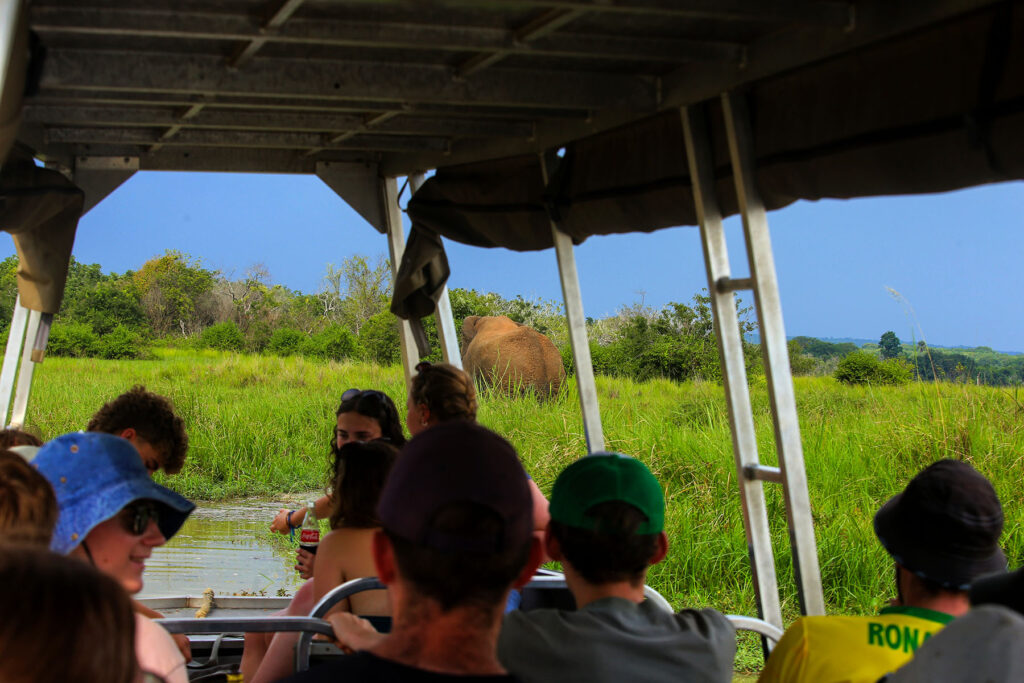 Uganda Big 5 Safari